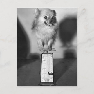 Cartão Postal Quanto Eu Peso?