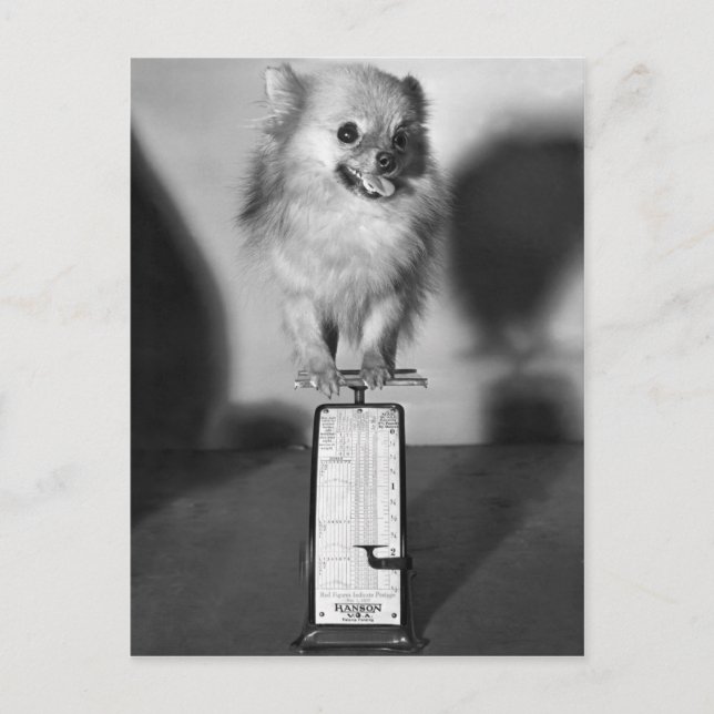 Cartão Postal Quanto Eu Peso? (Frente)