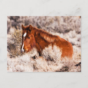 Cartão Postal Quarenta Piscar os olhos