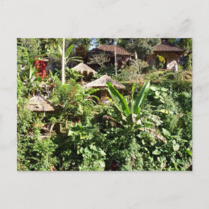 Cartão Postal Quarto com vista, Ubud, Bali Indonésia