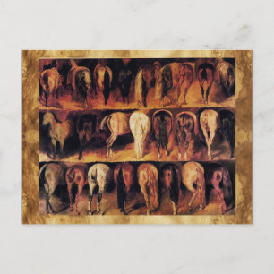 Cartão Postal Quarto traseiro dos cavalos