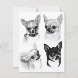 Cartão Postal Quatro Chihuahuas - Trabalho de arte pintado com m