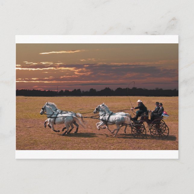 Cartão Postal quatro em mãos (Frente)