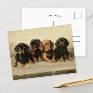 Cartão Postal Quatro Filhotes de Dachshund   Carl Reichert