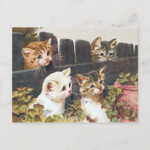 Cartão Postal "Quatro Gatinhos" Vintage