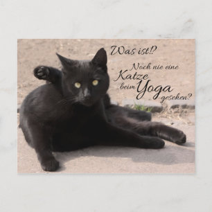 Cartão Postal Que é? Aínda nunca visto um gato com a yoga?