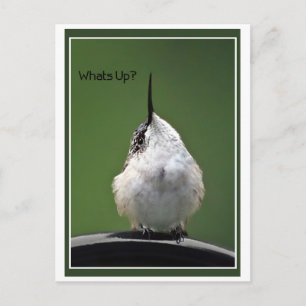 Cartão Postal Que está acima? Com texto