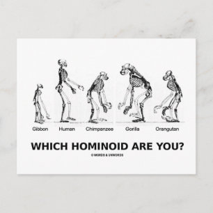 Cartão Postal Que Hominoide Você É? (Hominid Skeletons)