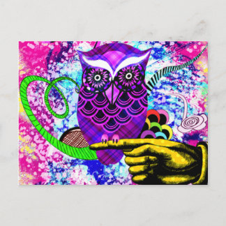 Cartão Postal Que Hoot