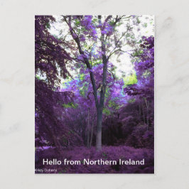 Cartão Postal que mundo