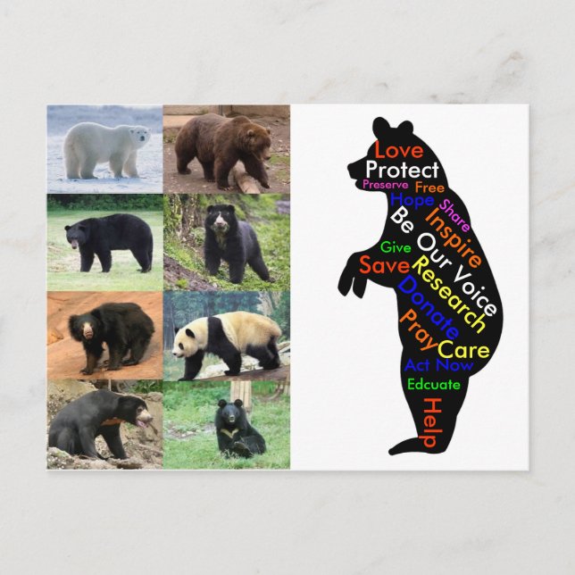 Cartão Postal Que pode você fazer para ajudar? (Frente)