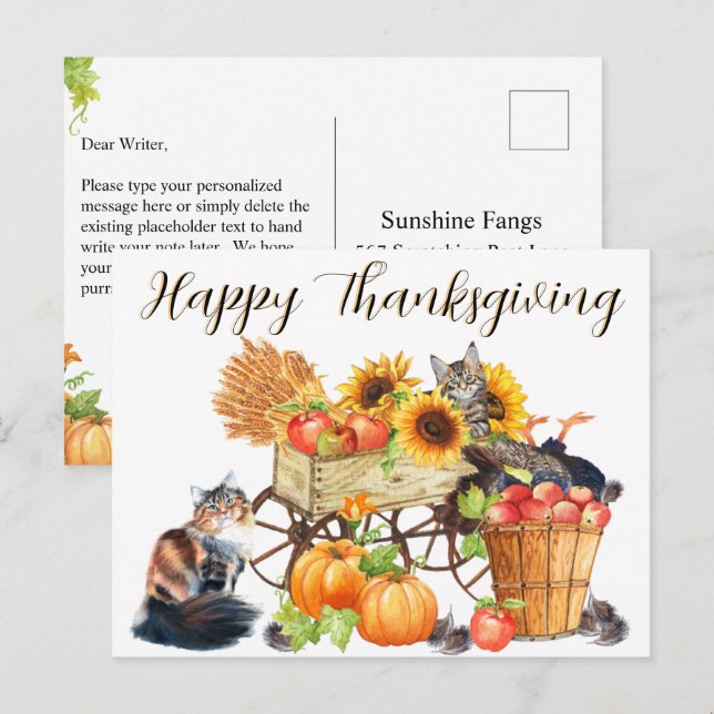 Cartão Postal Que Turquia? Gatos Inocentes, Feliz Ação de Graças (Frente/Verso)