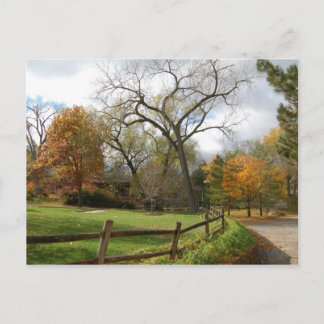 Cartão Postal Queda