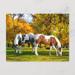 Cartão Postal "Queda à tarde"