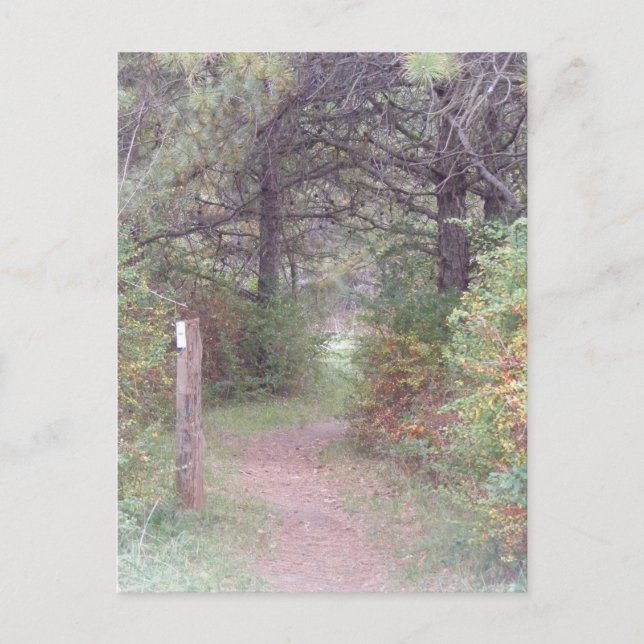 Cartão Postal queda apalaches Pensilvânia da fuga (Frente)