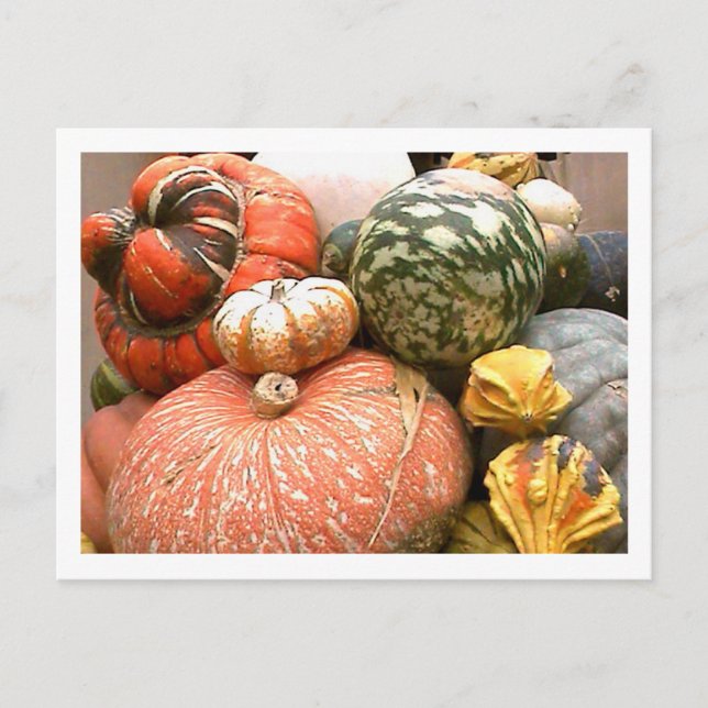 Cartão Postal Queda Cornicopia (Frente)