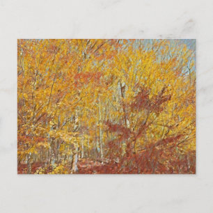 Cartão Postal Queda de Aquarela