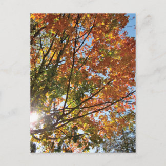 Cartão Postal Queda do condado da porta