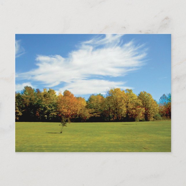 Cartão Postal Queda do condado da porta (Frente)