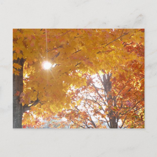 Cartão Postal Queda em Montreal (Frente)