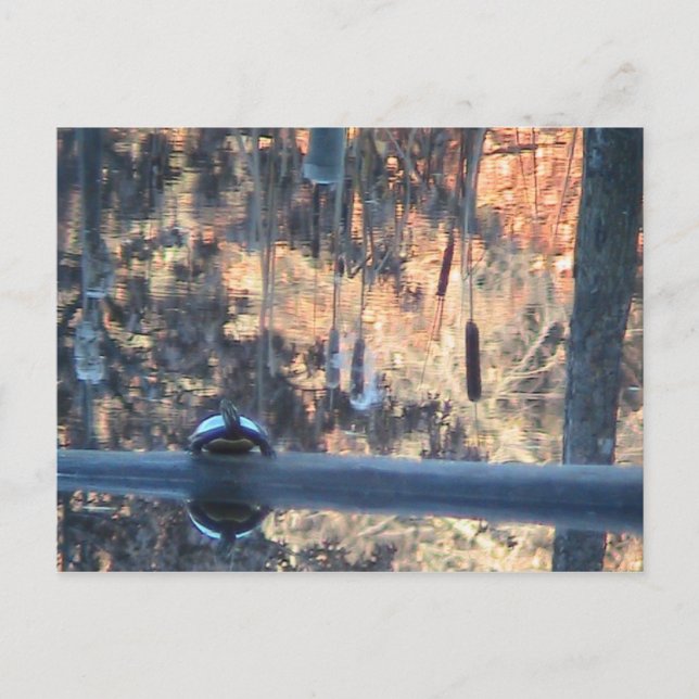 Cartão Postal Queda em Ohio (Frente)