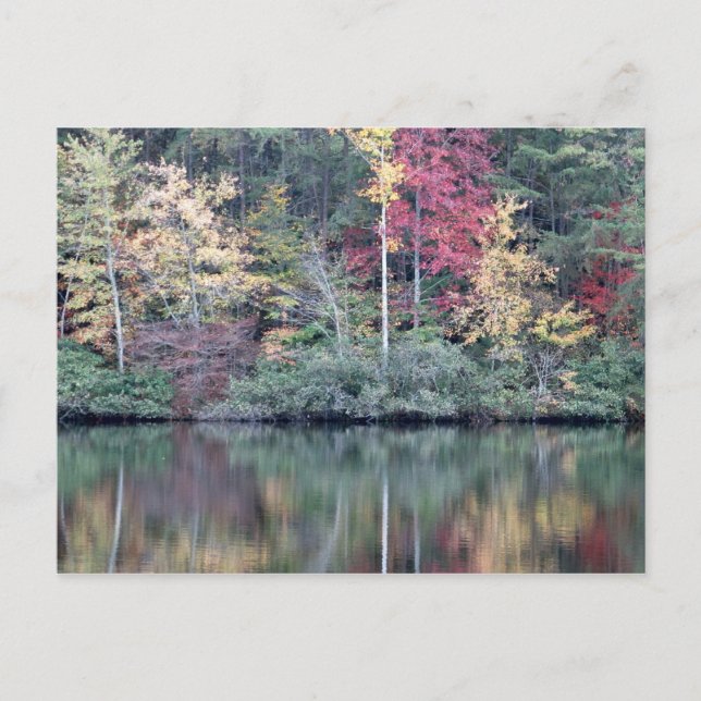 Cartão Postal Queda em Oneida, TN (Frente)