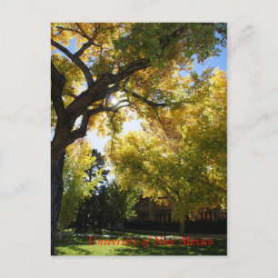 Cartão Postal Queda no Campus II