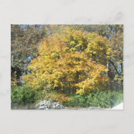 Cartão Postal Queda no Centro-Oeste