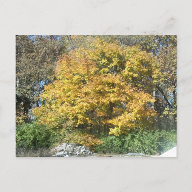 Cartão Postal Queda no Centro-Oeste (Frente)