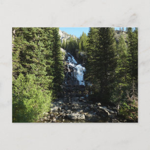 Cartão Postal Queda oculta no Parque Nacional de Grand Teton