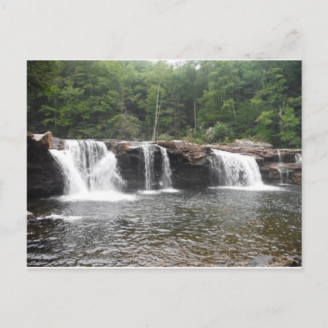 Cartão Postal Quedas de comida (Frente)
