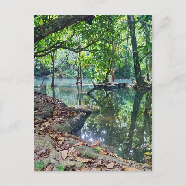 Cartão Postal Quedas de Khoung Si, lago forest, Laos (Frente)