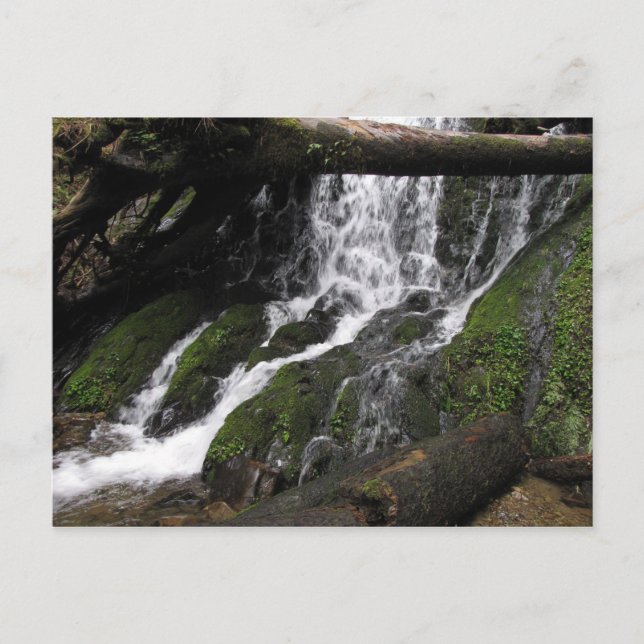 Cartão Postal Quedas no Parque Estadual de Sequoia (Frente)