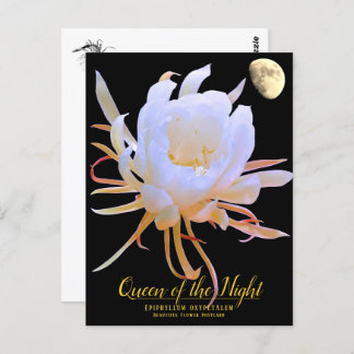 Cartão Postal Queen of the Night