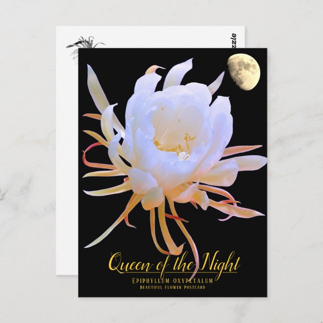 Cartão Postal Queen of the Night (Frente/Verso)