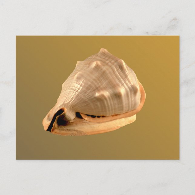 Cartão Postal Queens Helmet (Frente)