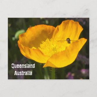Cartão Postal Queensland Austrália - Flor & Abelha Cartão-Postal