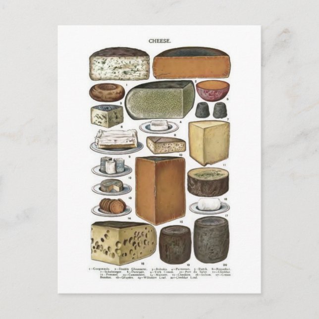Cartão Postal Queijo (Frente)