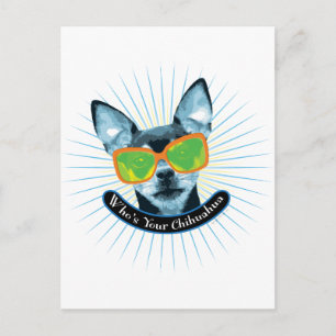 Cartão Postal Quem é o seu Chihuahua?
