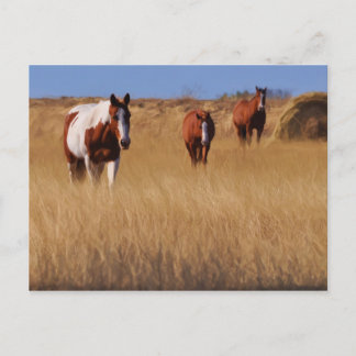 Cartão Postal Quem é você?