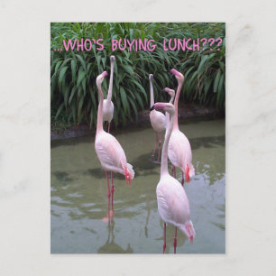 Cartão Postal Quem está comprando o almoço?