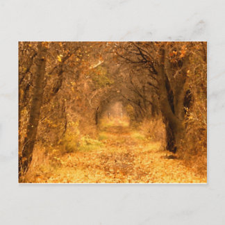 Cartão Postal Quem Sabe Onde O Caminho Conduz?