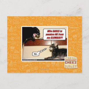 Cartão Postal Quem se atreve a me acordar?