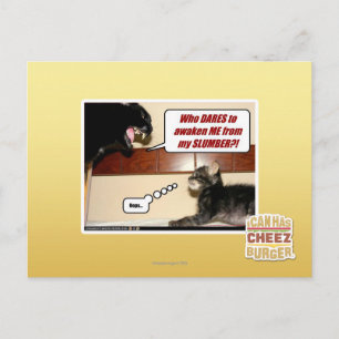 Cartão Postal Quem se atreve a me acordar?