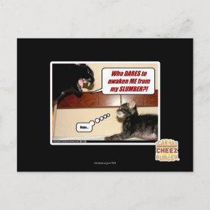 Cartão Postal Quem se atreve a me acordar?