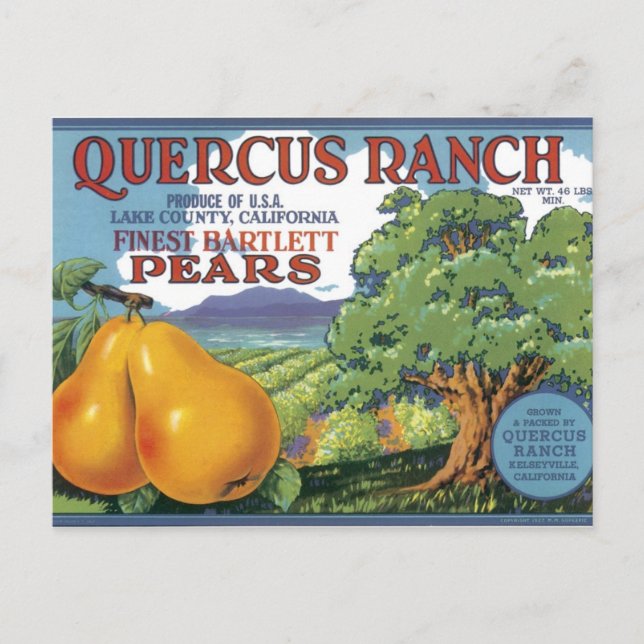 Cartão Postal Quercus Ranch Bartlett Pears (Frente)