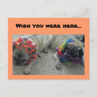 Cartão Postal Queria que estivesse aqui...Cartão postal.