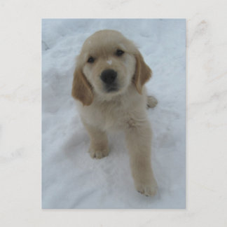 Cartão Postal Queria Que Você Estivesse Aqui