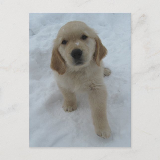 Cartão Postal Queria Que Você Estivesse Aqui (Frente)