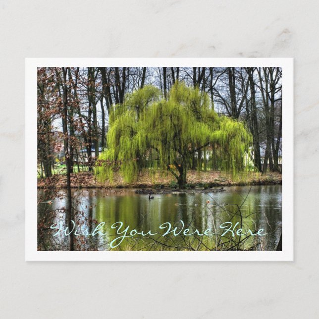 Cartão Postal Queria Que Você Estivesse Aqui (Frente)